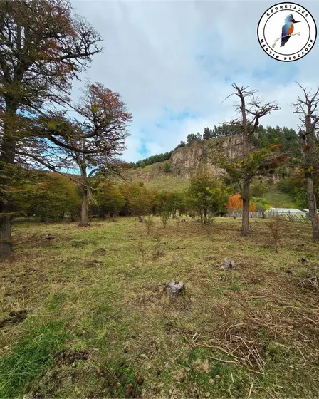 Invierte Ahora En La Patagonia