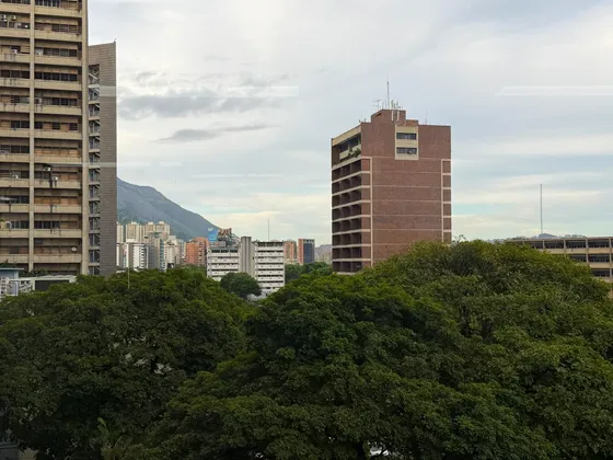 Oficina En Venta En Los Palos Grandes, Excelente Ubicación. (r.o)