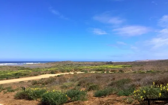 Condominio En Primera Línea