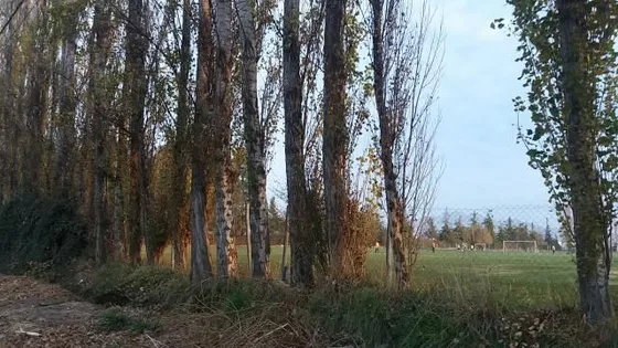 Parcela En Venta En Rancagua