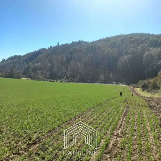 Campo Para Conservación Ambiental