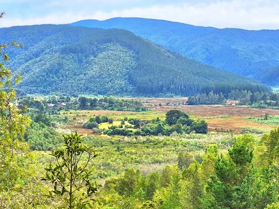 Vendemos En Valdivia 2,14 Hectareas En Altos De Punucapa