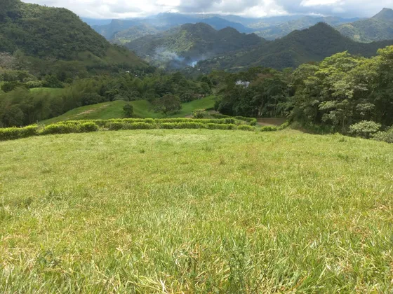 Venta De Lote Semiplano En La Vega