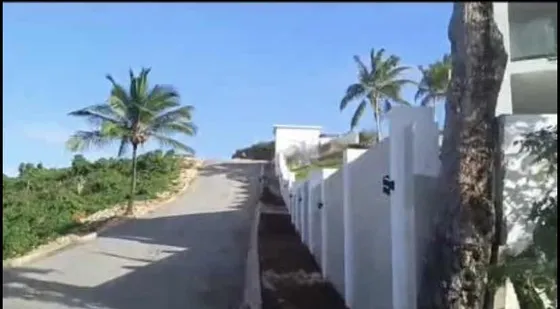 Título