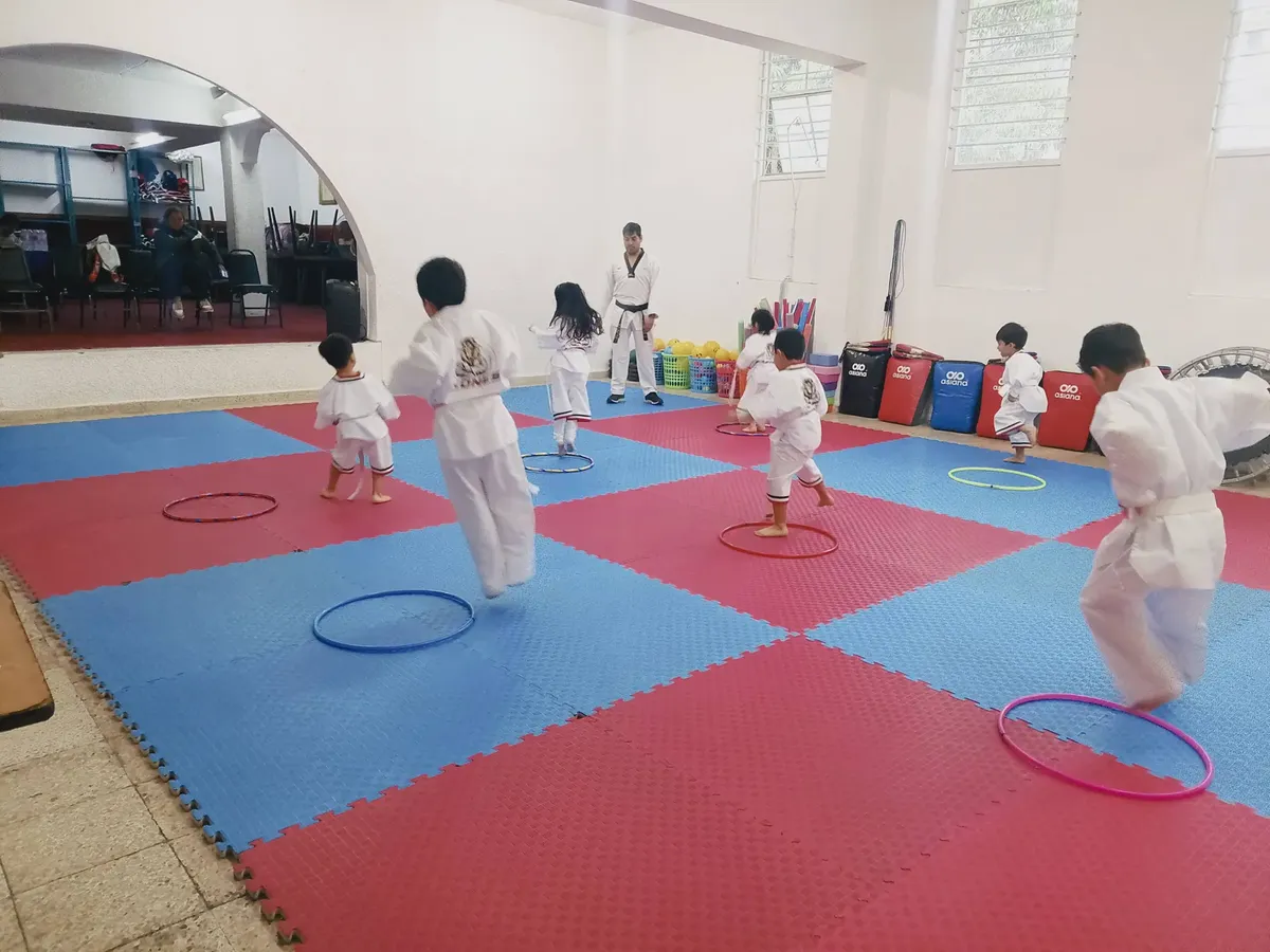 Private Taekwondo Classes