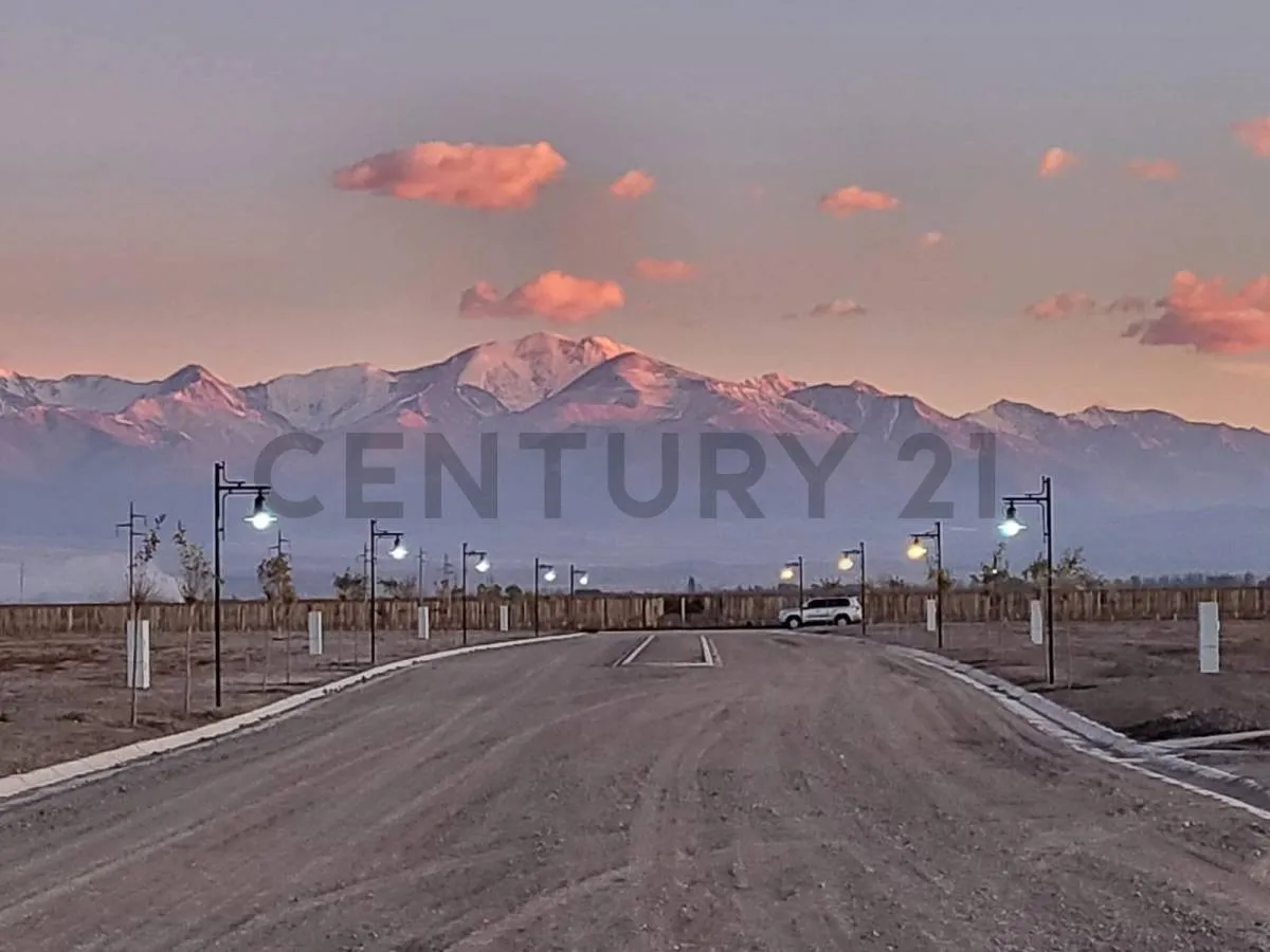 Lot Sale in Tupungato Valley
