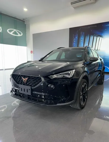 Cupra Formentor 2.0 Mid 190hp 2wd Dsg7