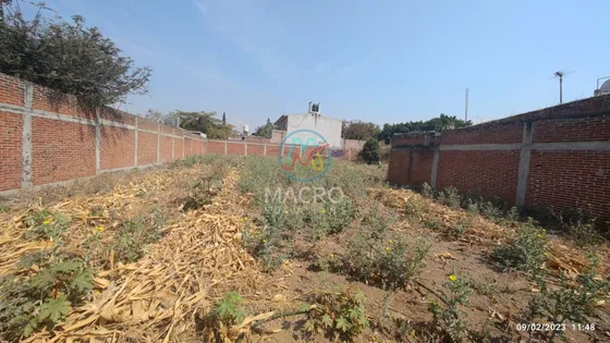 Terreno En Venta En Col. Tetelcingo Totalmente Bardeado.