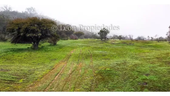 Se Venden 43.4 Ha. De Terreno En Alhué, Curacavi