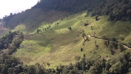 Finca Ganadera En Trujillo Valle Del Cauca
