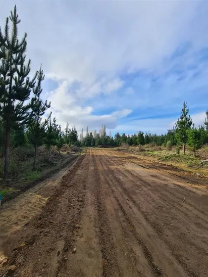 Sitio En Venta En Santa Juana