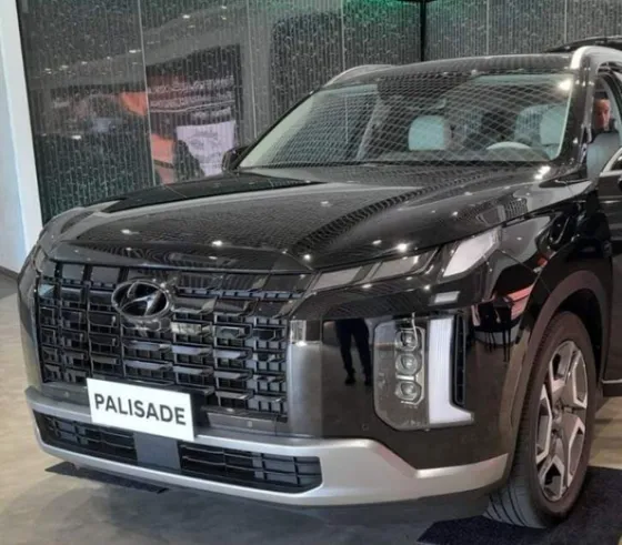 Hyundai Palisade 3.8 V6 Gasolina Awd Automático