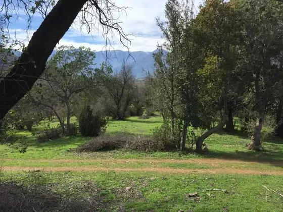 Fundo Colliguay, 43.28 Ha, Casa Y Piscina (89627)