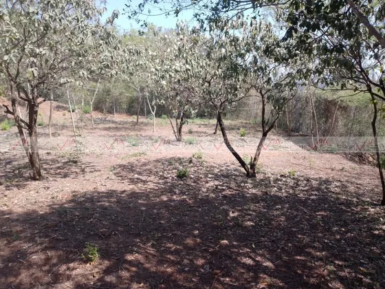 Colinas Del Vergel