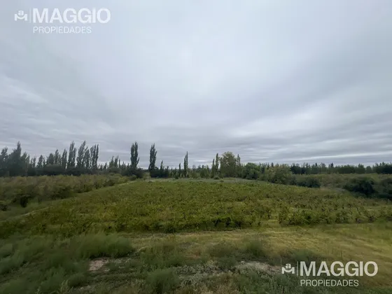 Bodega En Venta
