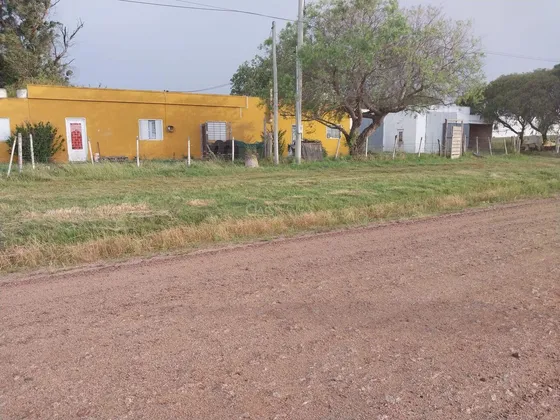 Venta Chacra En San Jacinto De 9 Hectáreas Y  Dos Casas
