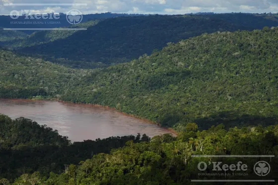 Grandes Extensiones De Bosque Nativo En Misiones - Bonos Verdes- Ideal Conservacionistas