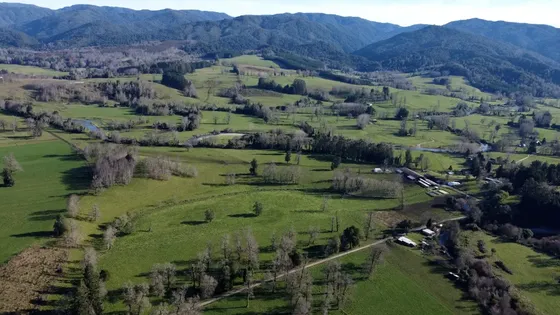 Campo De 476 Hectáreas Productivas En Purranque