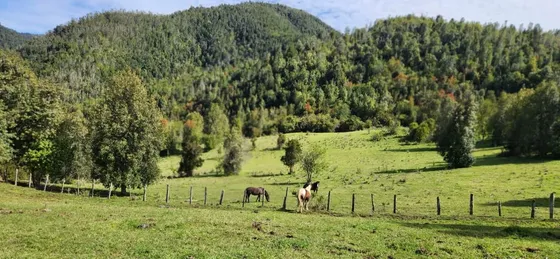 Hermosas Parcelas En Fresia, Los Lagos. Sin Comisión