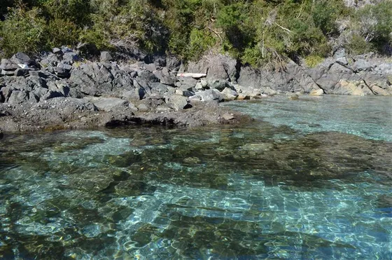 Sitio En Venta En Hualaihue