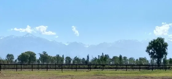 Terreno 1ha Venta Tunuyan, Mendoza