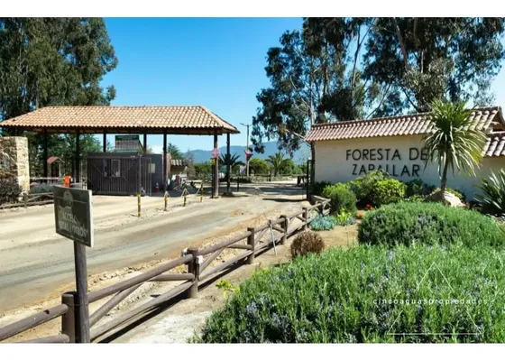 Parcela Excelente Ubicación En Foresta De Zapallar