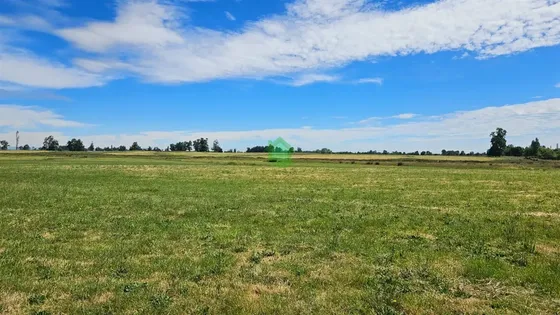 Proyecto De Parcelas En Venta En Osorno