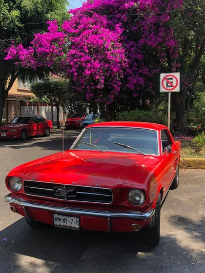 Ford Mustang 65