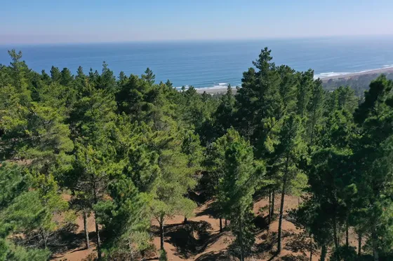 Exclusivo Terreno En Punta Puertecillo