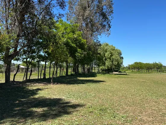 Preciosa Parcela Casi 1ha A 10 Minutos Linares. Maule