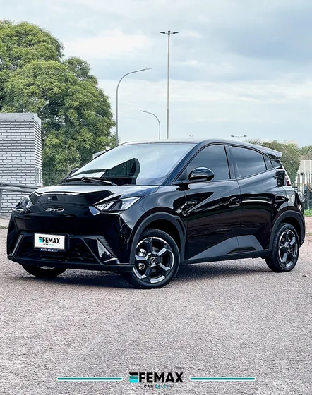 Byd Seagull 0.0 Ev 300
