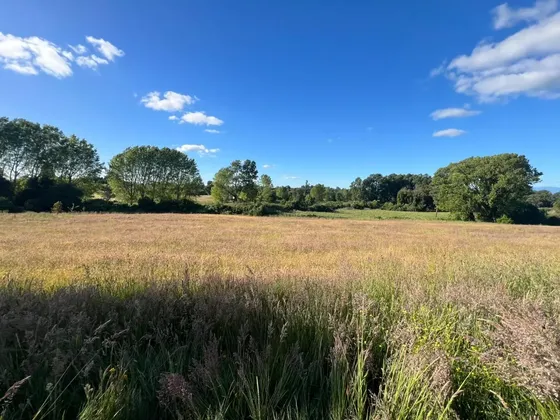 Vendo Parcela De Agrado En Sector Vivanco, Lago Ranco