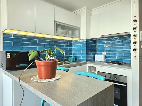 Departamento En Arriendo 1d1b1e En Concepción