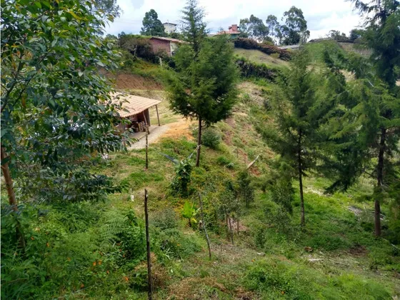 Finca Para La Venta Marinilla - Campo Alegre 