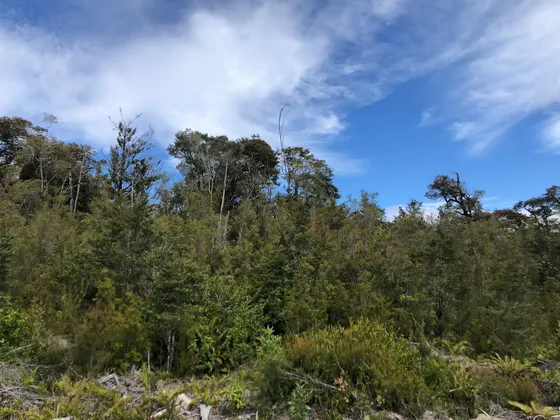 Oportunidad Terreno En Venta Ancud - Sector Manao - Chiloé