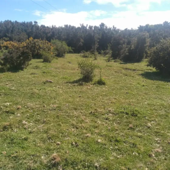 Se Vende Excelente Terreno