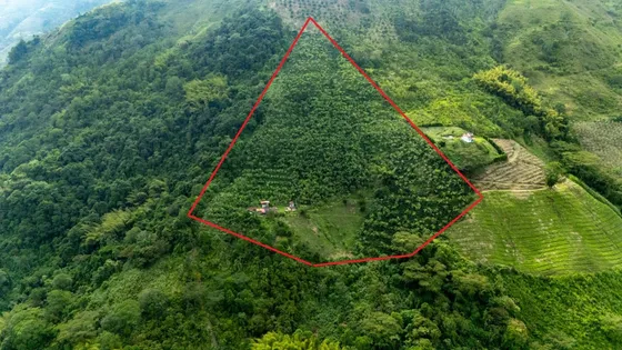 Vendo Finca Muy Productiva Vereda El Callao De Manzanares Caldas