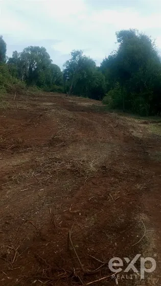 Parcela De 4 Hectáreas Con Río Y Alto Potencial, Perquenco