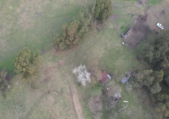 Campo En Venta En Magdalena - 156 Hectáreas