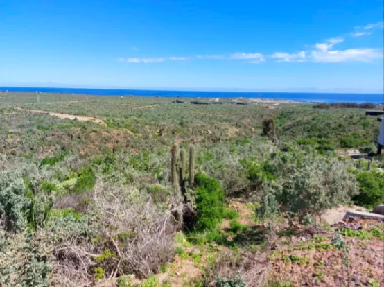 Terreno De 4.332 M2 En Condominio Aguadulce, Vista Al Mar