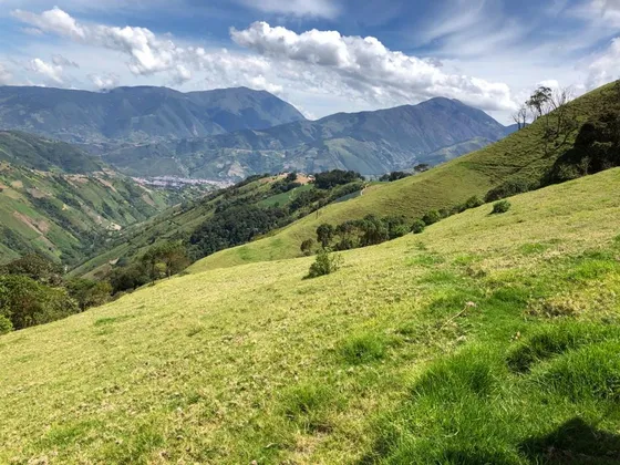 Finca En El Paramo Palenque En Venta 