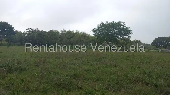 Erika Armeya Vende, Lote De Terrenos Ubicados En Sabana De Parra Estado Yaracuy. Flex: 25-16625