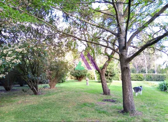 Importante Casa Quinta