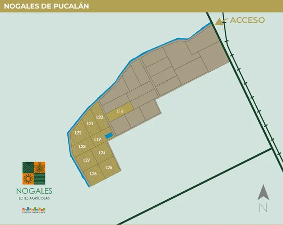 Oportunidad 5.4 Hectáreas Con Nogales En Producción