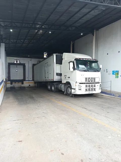  Planas Frigoríficos Mudanzas San Fernando Temuco 