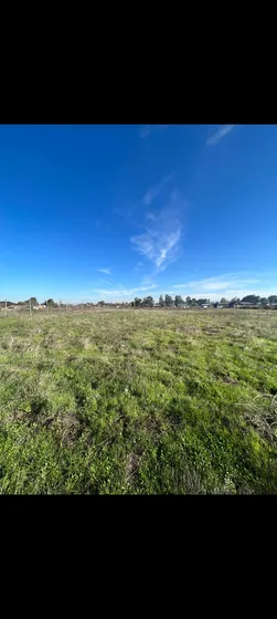 Se Vende Parcela De 5000 Mts2 Camino A Pelarco
