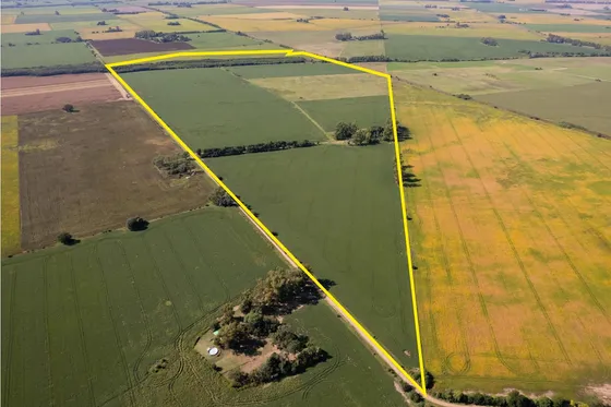 Campo En Venta 93ha En Arrecifes