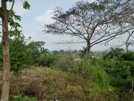 Bonito Lote Con Vista A Cartagena, Bien Ubicado, Con Amplias Posibilidades De Desarrollo Cod. 40321