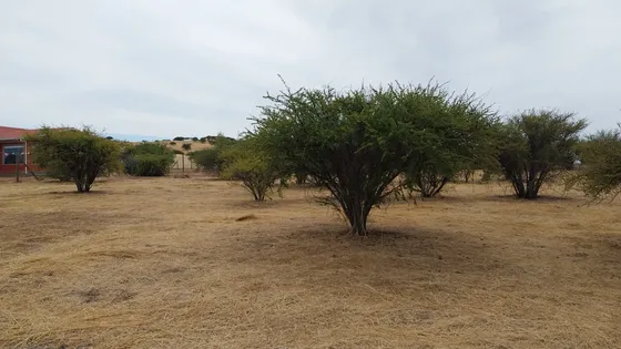 Parcela 5000 M2 Secano Costero Mallermo Marchigue