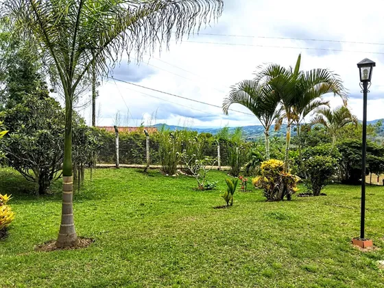 El Carmen, 19.600 M2, Excelente Ubicación